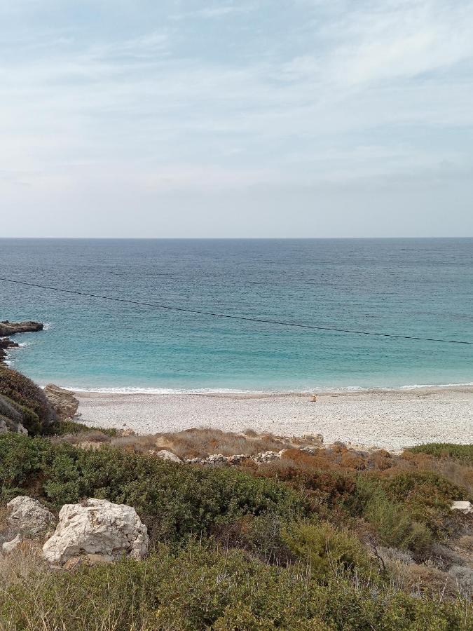 Albatros Studios & Apartments Lefkos  Dış mekan fotoğraf