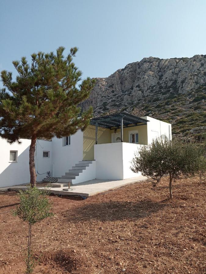Albatros Studios & Apartments Lefkos  Dış mekan fotoğraf